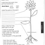 1St Grade Science Worksheets | Picking Apart Plants   People   Free Printable Science Worksheets For 2Nd Grade