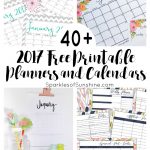 40+ Awesome Free Printable 2017 Calendars And Planners   Sparkles Of   Free Printable Agenda 2017