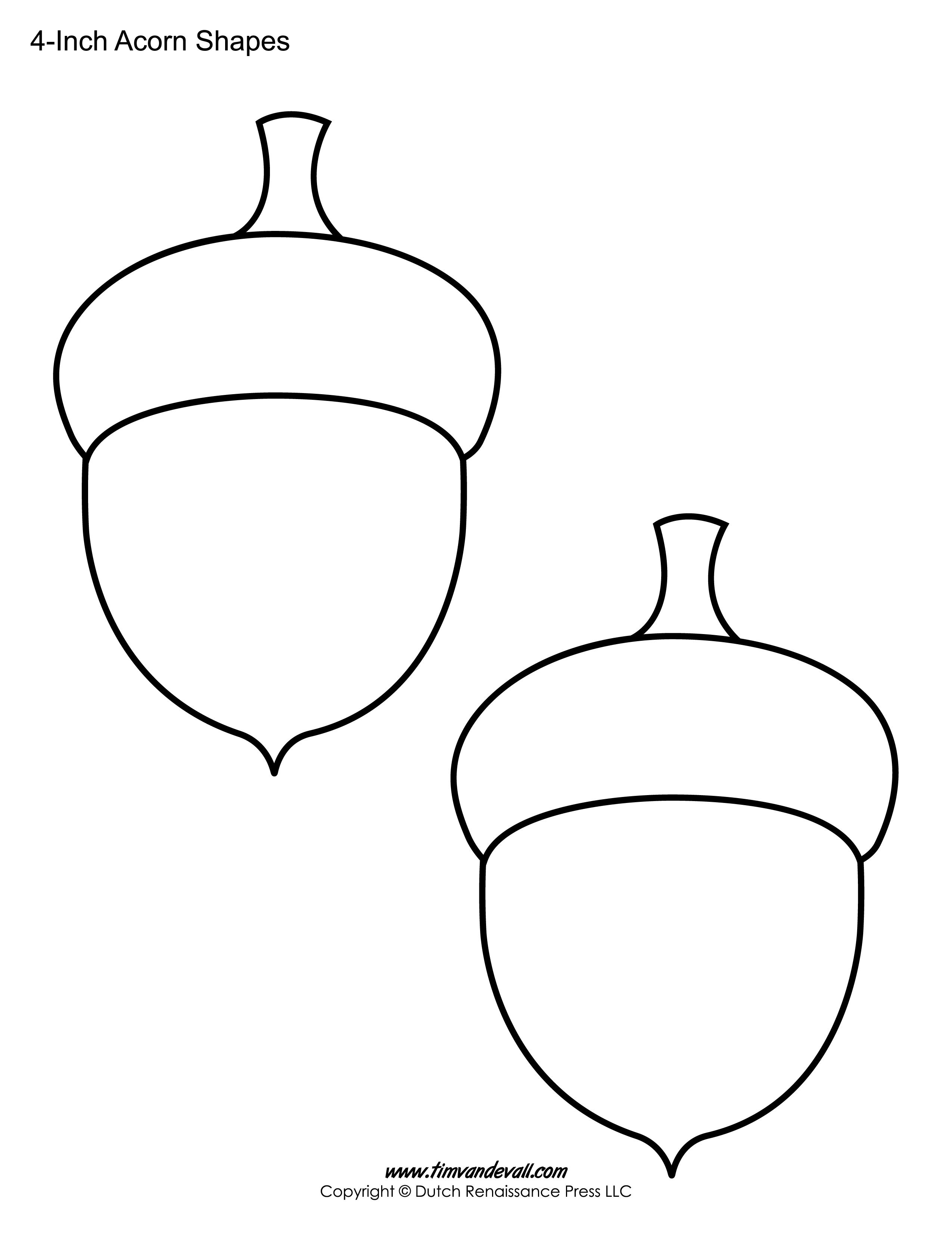 Acorn template printable