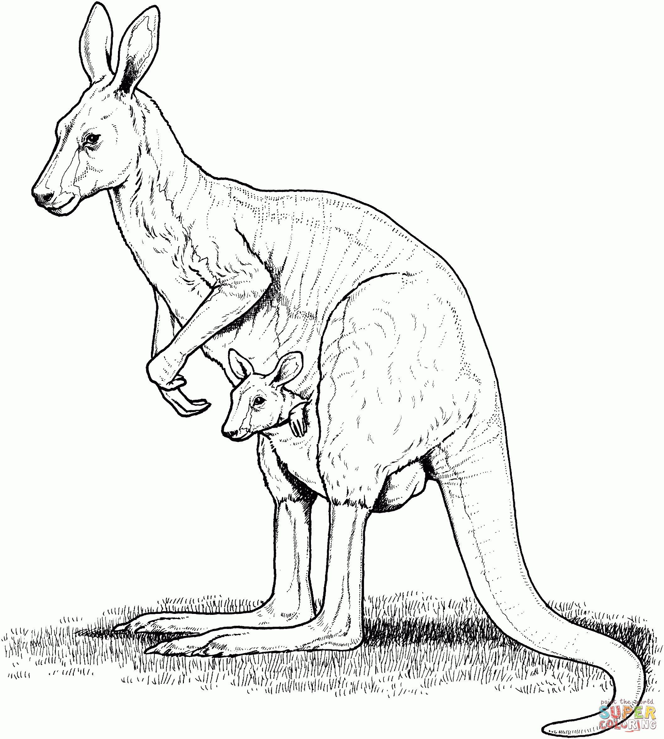 Free Printable Pictures Of Australian Animals | Free Printable