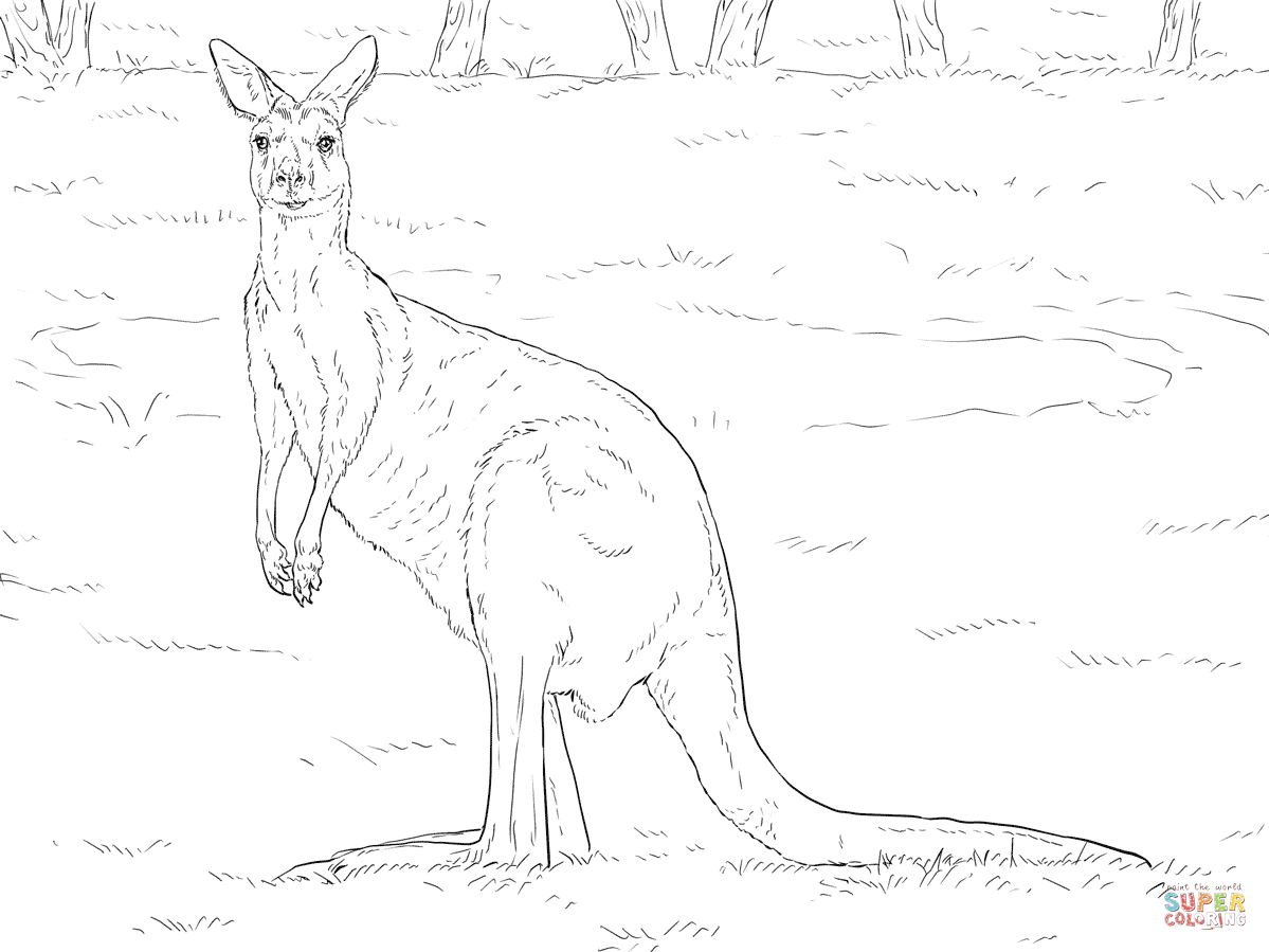 free-printable-pictures-of-australian-animals-free-printable