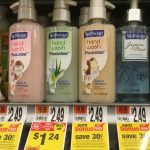 Clearance Finds   Free Softsoap Hand Soap, $0.29 Palmolive, $0.49   Free Printable Softsoap Coupons