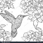 Coloring Book World ~ Marvelousird Coloring Page Red Throated Nest   Free Printable Pictures Of Hummingbirds