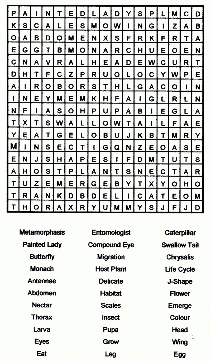 Coloring ~ Large Print Word Search Printable Free Picnic Foods - Free Large Printable Word Searches