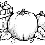 Coloring Pages Autumn Fall Sheets Printable | Coloring Pages   Free Printable Autumn Coloring Sheets