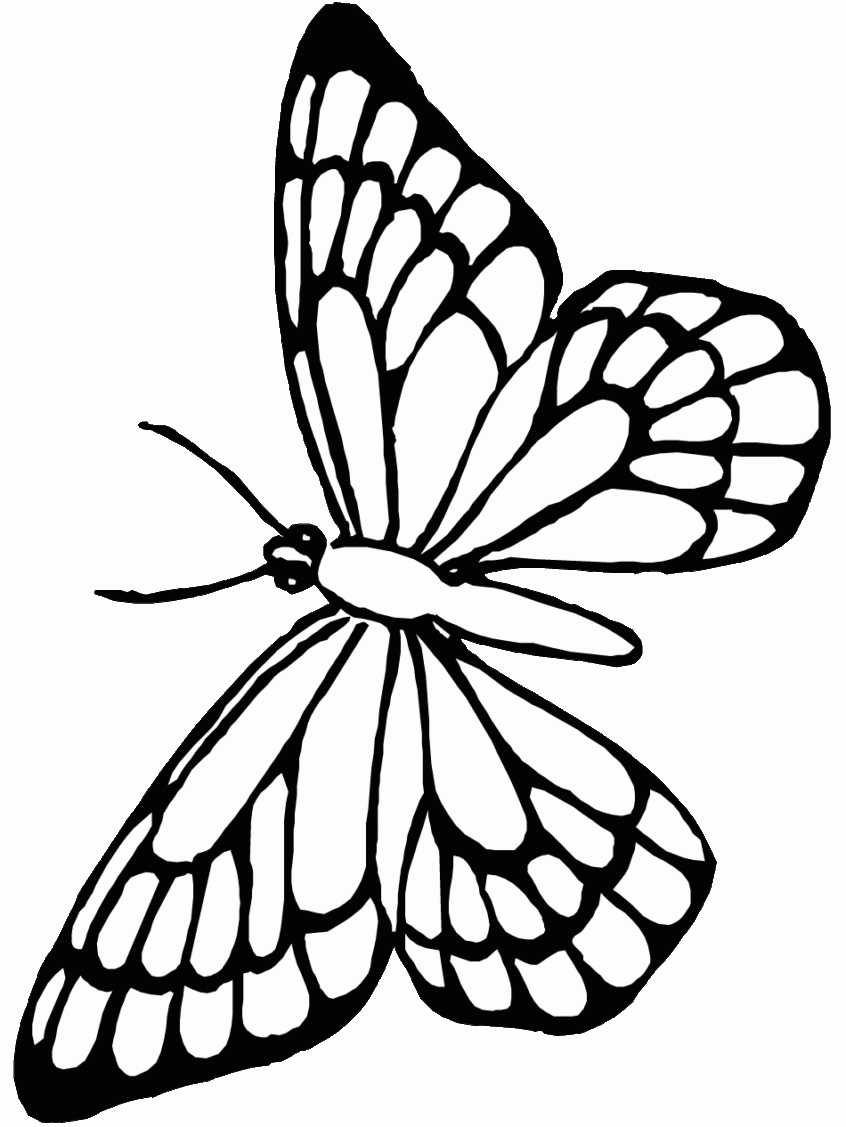 Coloring Pages Ideas: Printable Butterfly Coloring Pagesee Monarch - Free Printable Butterfly Coloring Pages
