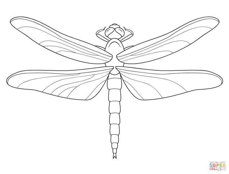 Free Printable Pictures Of Dragonflies