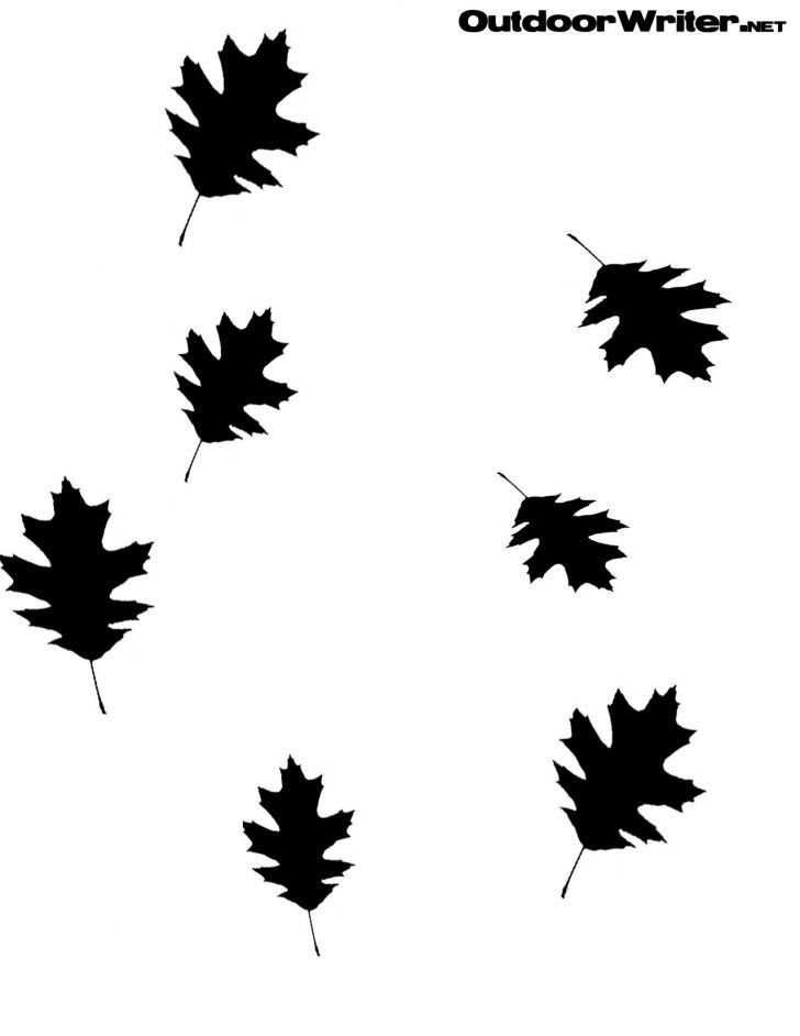 duck-boat-camo-stencils-free-duck-boat-camo-duck-hunting-chat