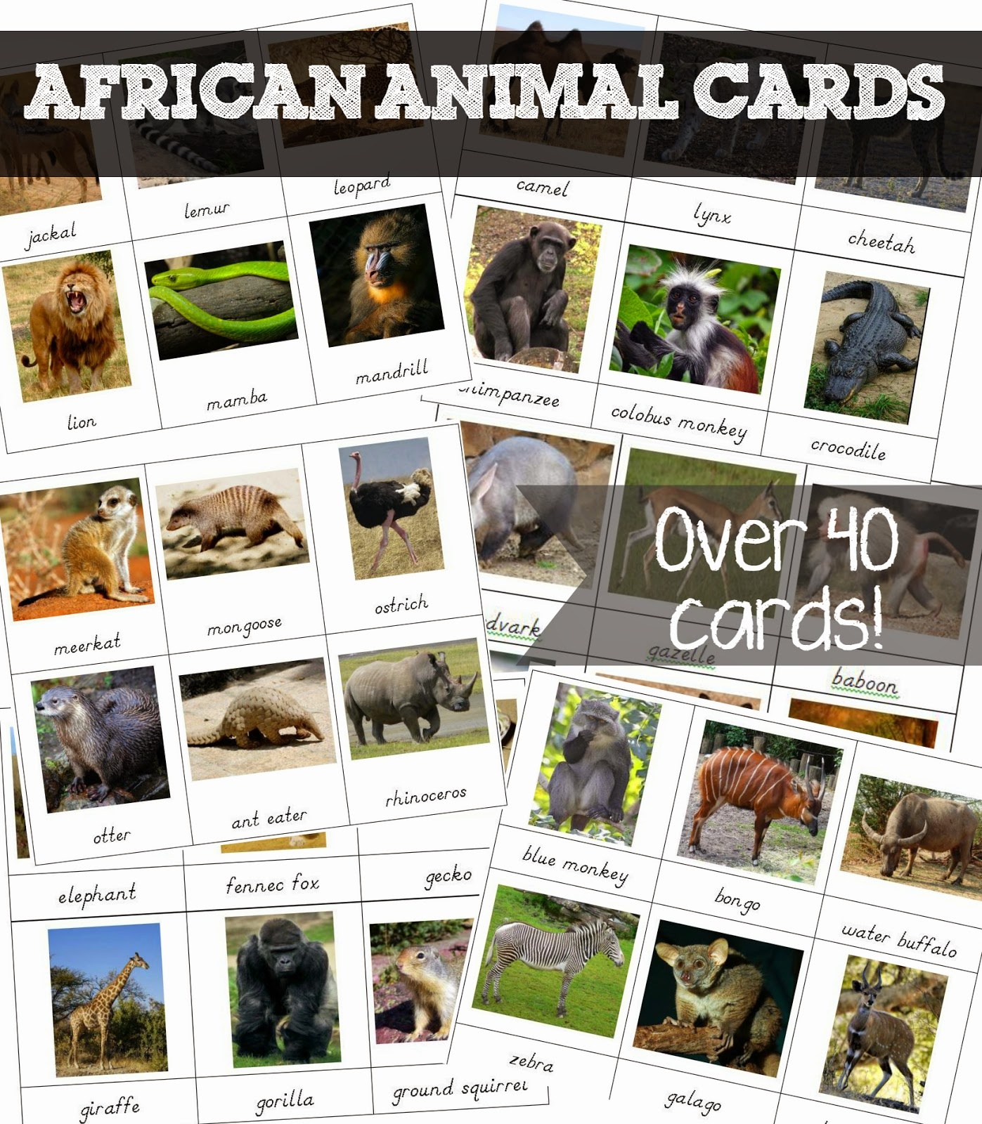 Free Printable African Animal Cards - Welcome To Mommyhood - Free Printable Welcome Cards