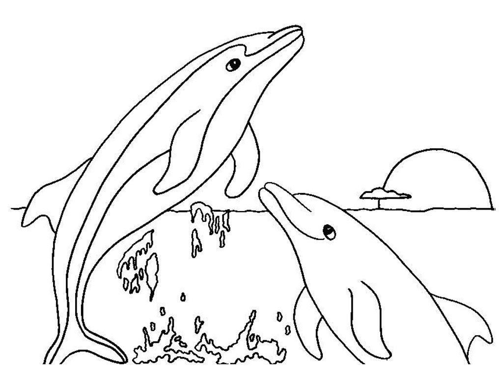 Dolphin Coloring Sheets Free Printable Free Printable