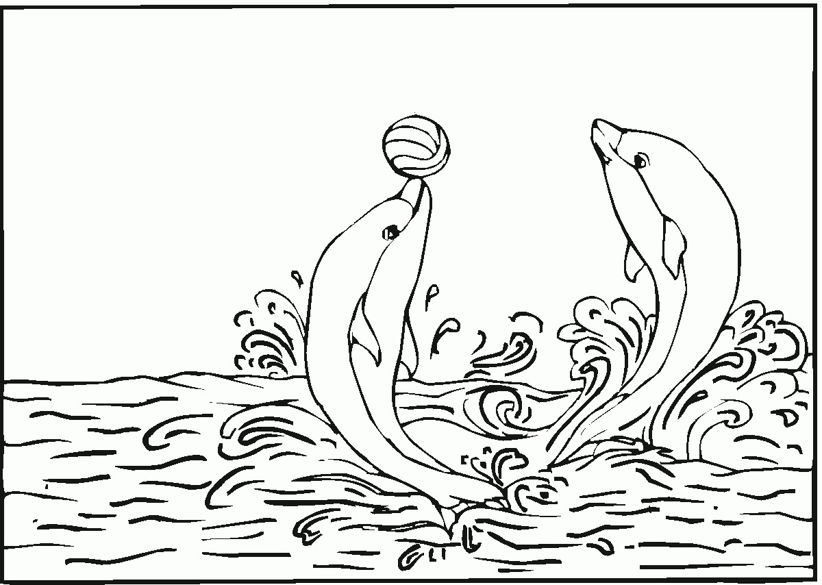 Free Printable Dolphin Coloring Pages For Kids - Dolphin Coloring Sheets Free Printable