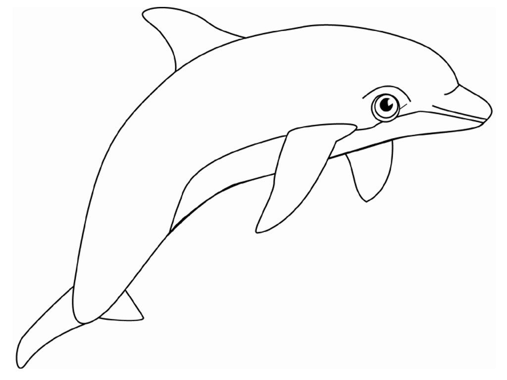 Dolphin Coloring Sheets Free Printable Free Printable