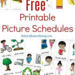 Free Printable Picture Schedule Cards   Visual Schedule Printables   Free Printable Picture Schedule Cards