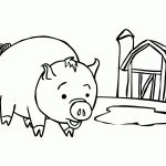 Free Printable Pig Coloring Pages For Kids   Pig Coloring Sheets Free Printable
