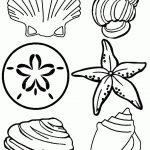 Free Printable Seashell Coloring Pages For Kids | Felt & Fabric   Free Printable Beach Coloring Pages
