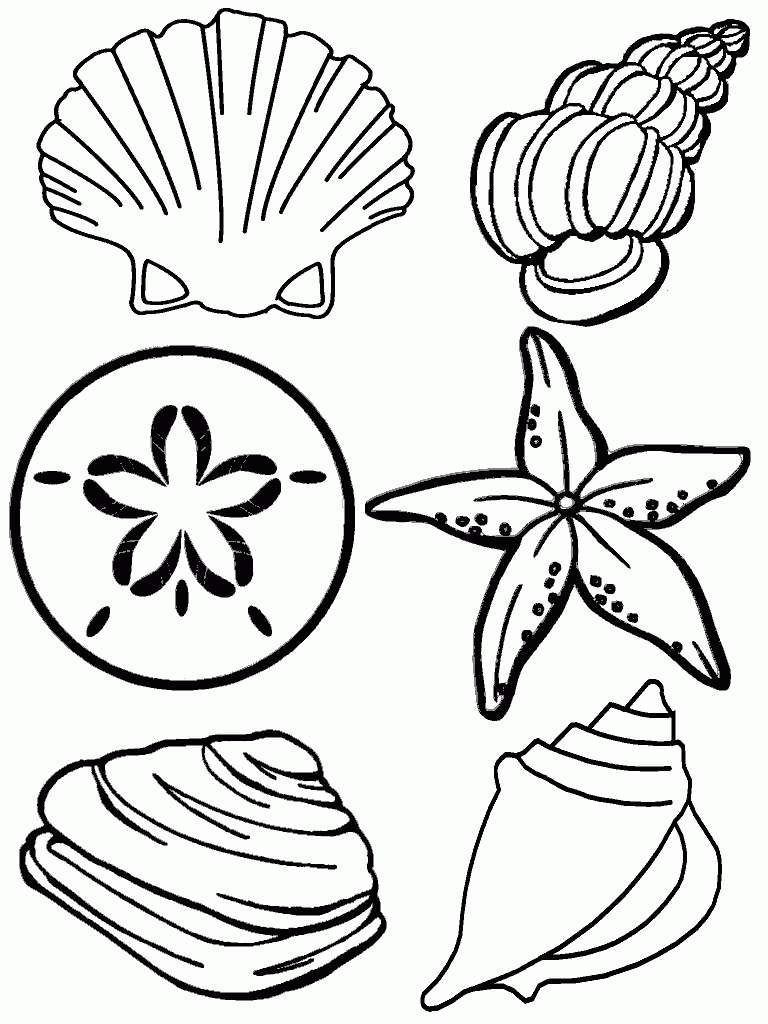 Free Printable Seashell Coloring Pages For Kids | Felt &amp; Fabric - Free Printable Beach Coloring Pages