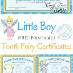 Free Printable Tooth Fairy Certificates | Fabnfree // Freebie Group   Free Printable Tooth Fairy Pictures