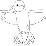 Hummingbird Coloring Page | Free Printable Coloring Pages   Free Printable Pictures Of Hummingbirds