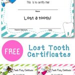 Lost Tooth Certificate | New England Teacher | Teaching First Grade   Free Printable First Day Of School Certificate