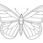 Monarch Butterfly Coloring Page | Free Printable Coloring Pages   Free Printable Butterfly Coloring Pages