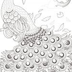 Peacock Coloring Sheet #1541   554×565 | Gotocoloring   Free Printable Peacock Pictures