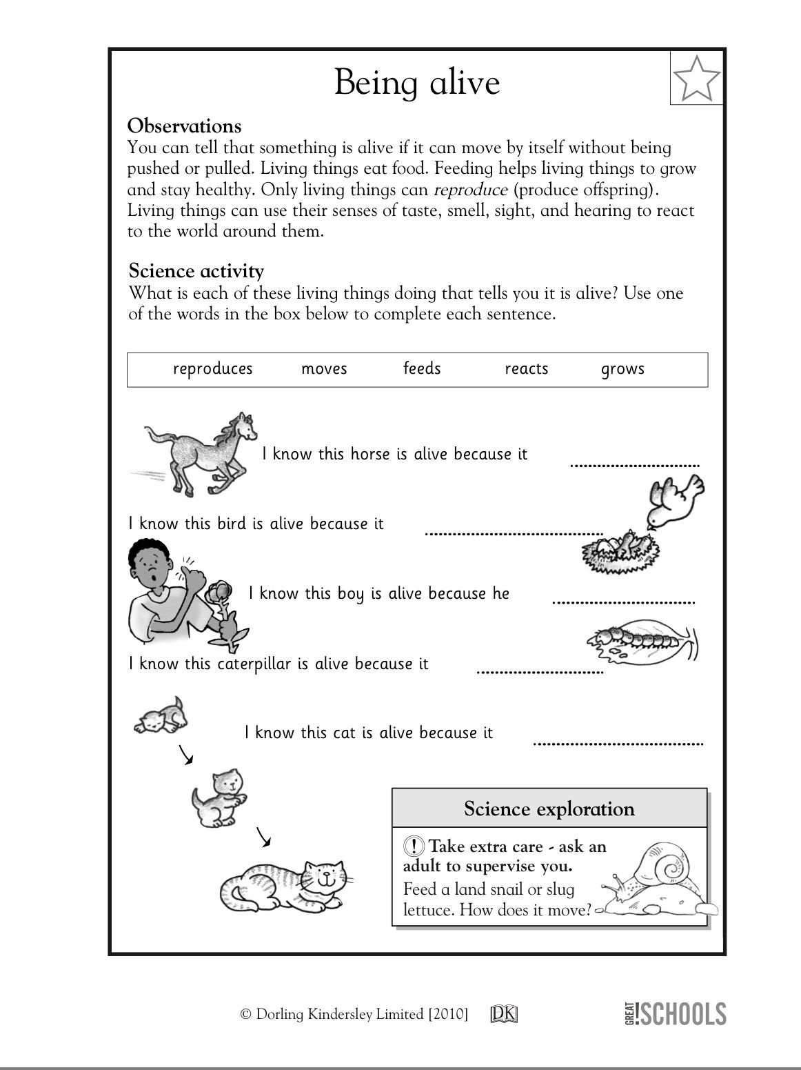 Free Printable Science Worksheets For 2Nd Grade Free Printable