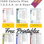 Printable 1200 Calorie Paleo Diet For 6 Days Plus Grocery List   Free Printable 1200 Calorie Diet Menu
