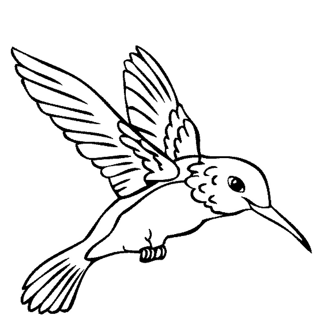 Free Printable Hummingbird Coloring Pages Printable Templates