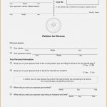Texas Divorce Smartonline Papers Blank Forms P | Nayvii – Do It   Free Printable Divorce Papers For Illinois