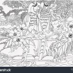Waterfall Colouring Pages   Riodejaneiroorganicgrowers   Free Printable Waterfall Coloring Pages