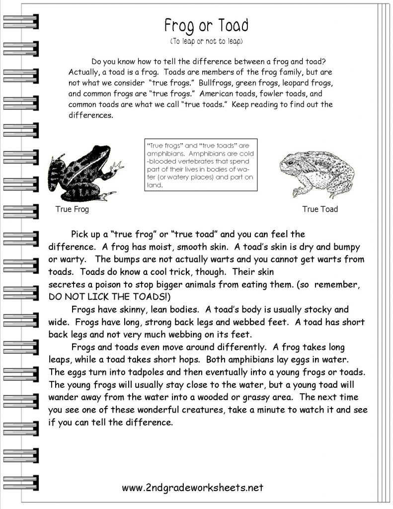 worksheet-free-printable-short-stories-with-comprehension-free