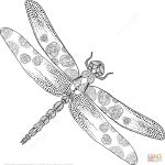 Zentangle Dragonfly Coloring Page | Free Printable Coloring Pages   Free Printable Pictures Of Dragonflies