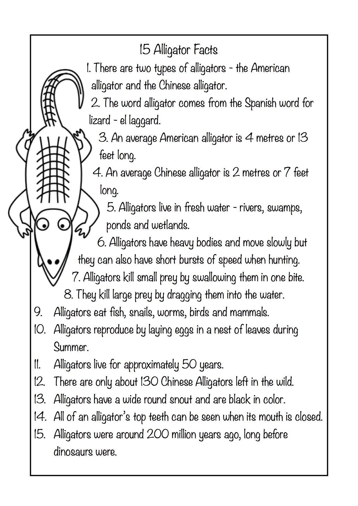 free-printable-reptile-worksheets-free-printable