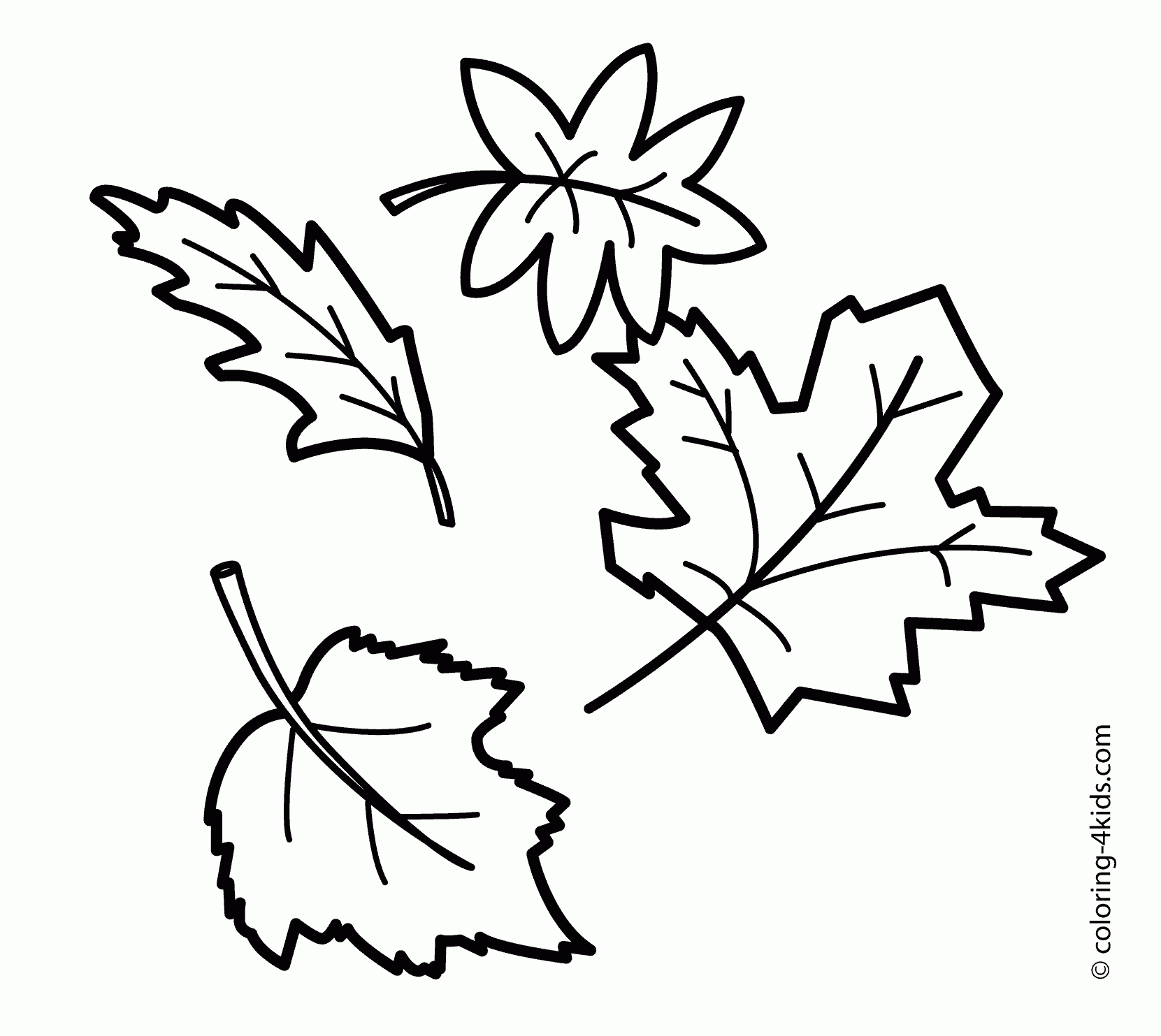 19 Free Pictures For: Fall Leaf Coloring Pages. Temoon - Coloring - Free Printable Fall Leaves Coloring Pages