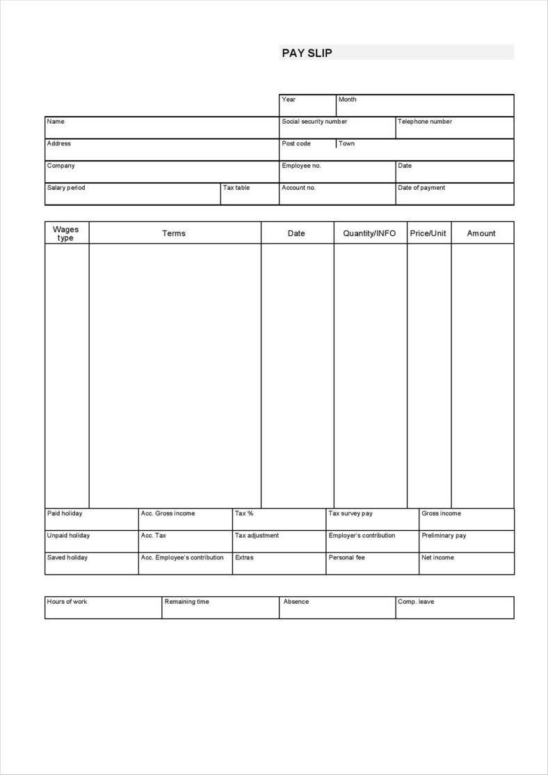 Pay Stubs Template Pdf Sample