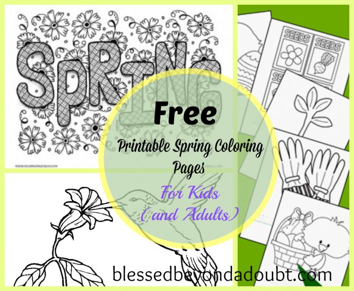 Spring Coloring Sheets Free Printable