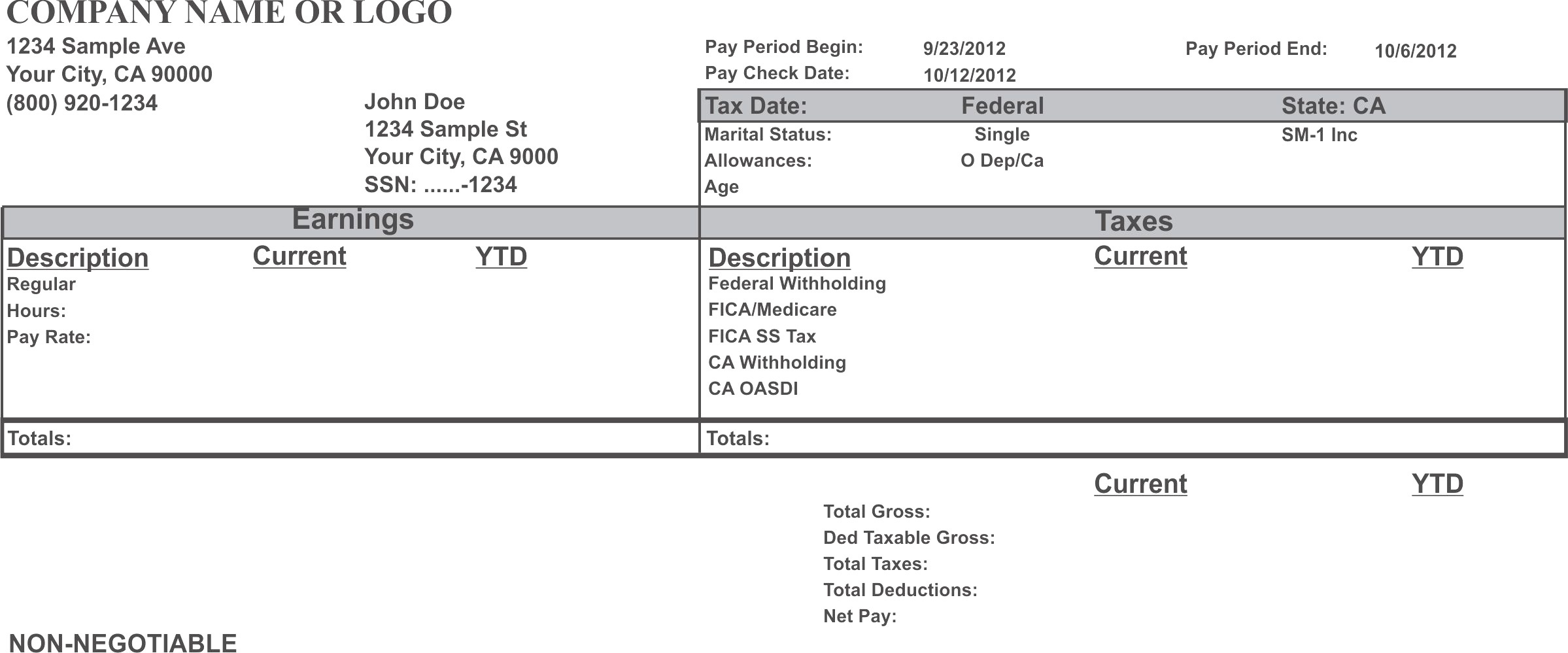 Template For Paycheck Stub