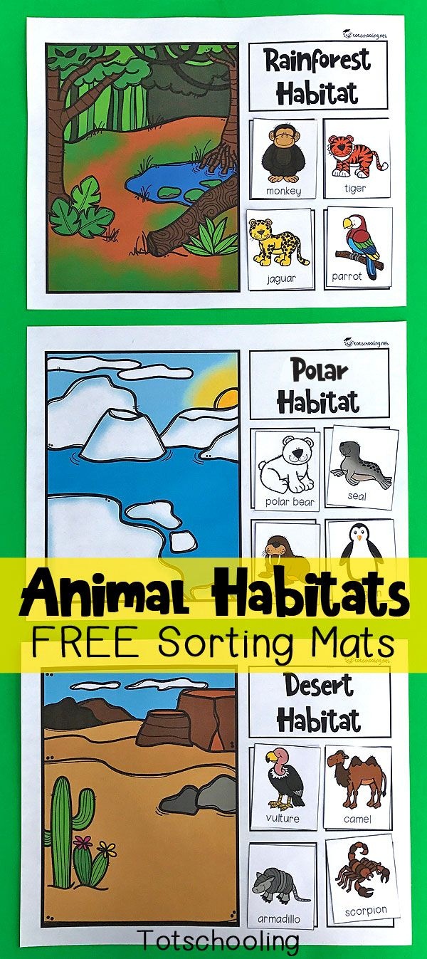 Animal Habitats Sorting Mats | Free Printables | Animal Habitats - Free Printable Worksheets Animal Habitats
