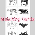 Animal Skeleton Matching Cards | Children: Nature, Science & Co   Free Printable Animal X Rays