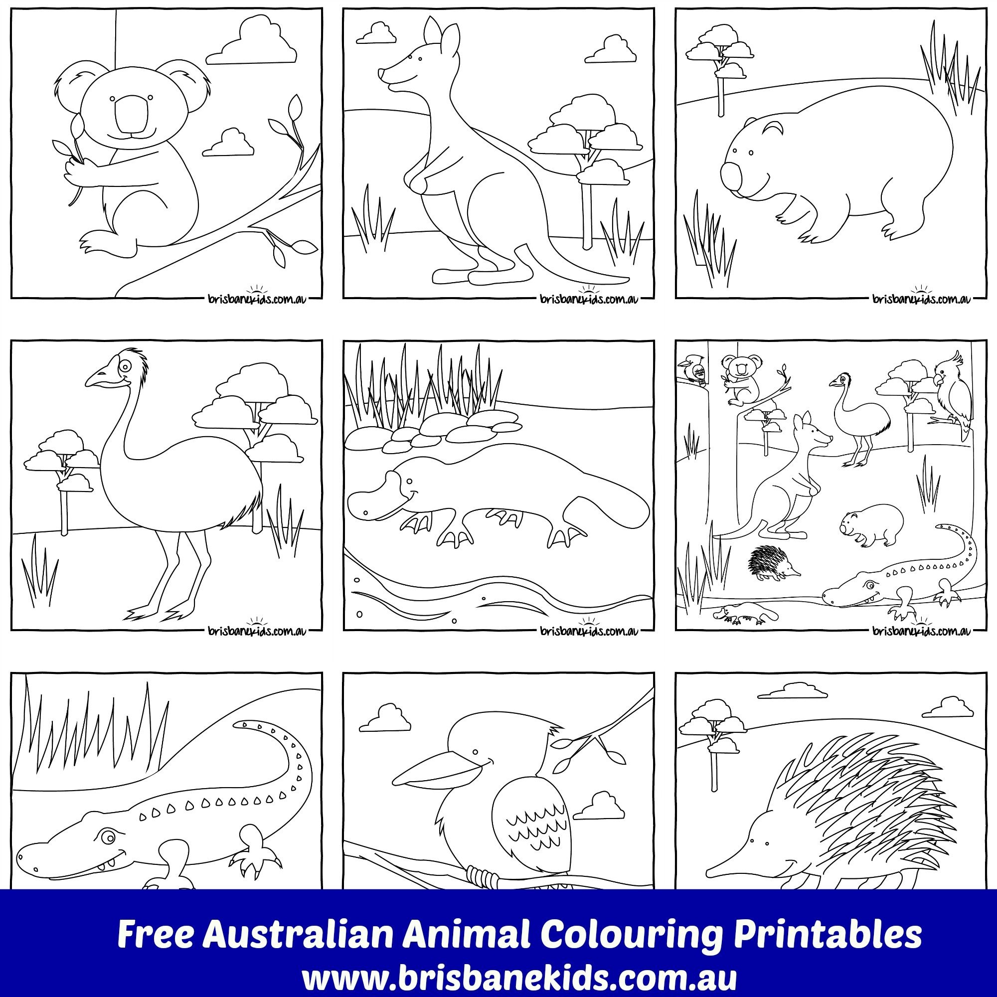 Australian Animals Colouring Pages | Australia | Australian Animals - Free Printable Australian Animals