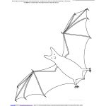 Bats At Enchantedlearning   Free Printable Bat Writing Paper