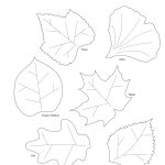 Best Photos Of Fall Leaf Templates Printable   Free Fall Leaf   Free Printable Leaf Template