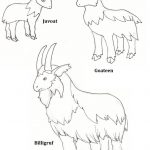 Billy Goats Gruff Coloring Page Lovely Free Printable Colour In Role   Three Billy Goats Gruff Masks Printable Free