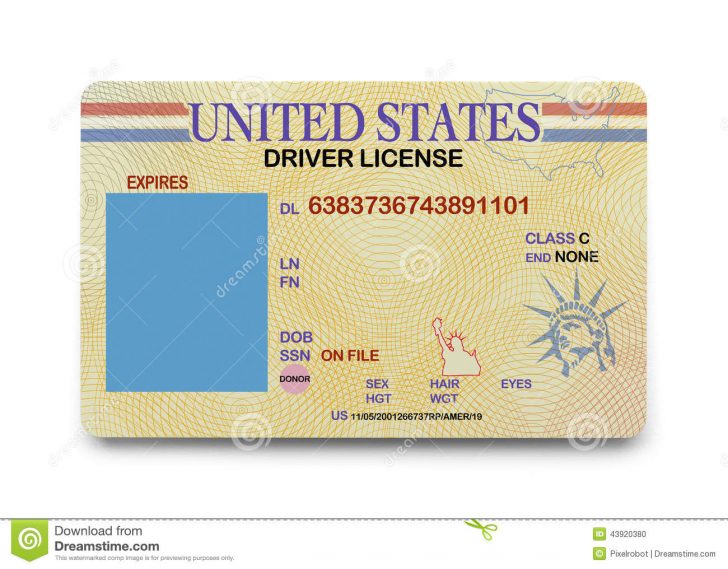 Free Printable Fake Drivers License
