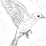 Blue Bird Flying Coloring Page | Free Printable Coloring Pages   Free Printable Images Of Birds