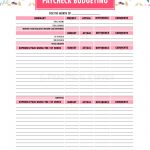 Budget Binder Printables   The Practical Saver   Free Printable Budget Binder Worksheets