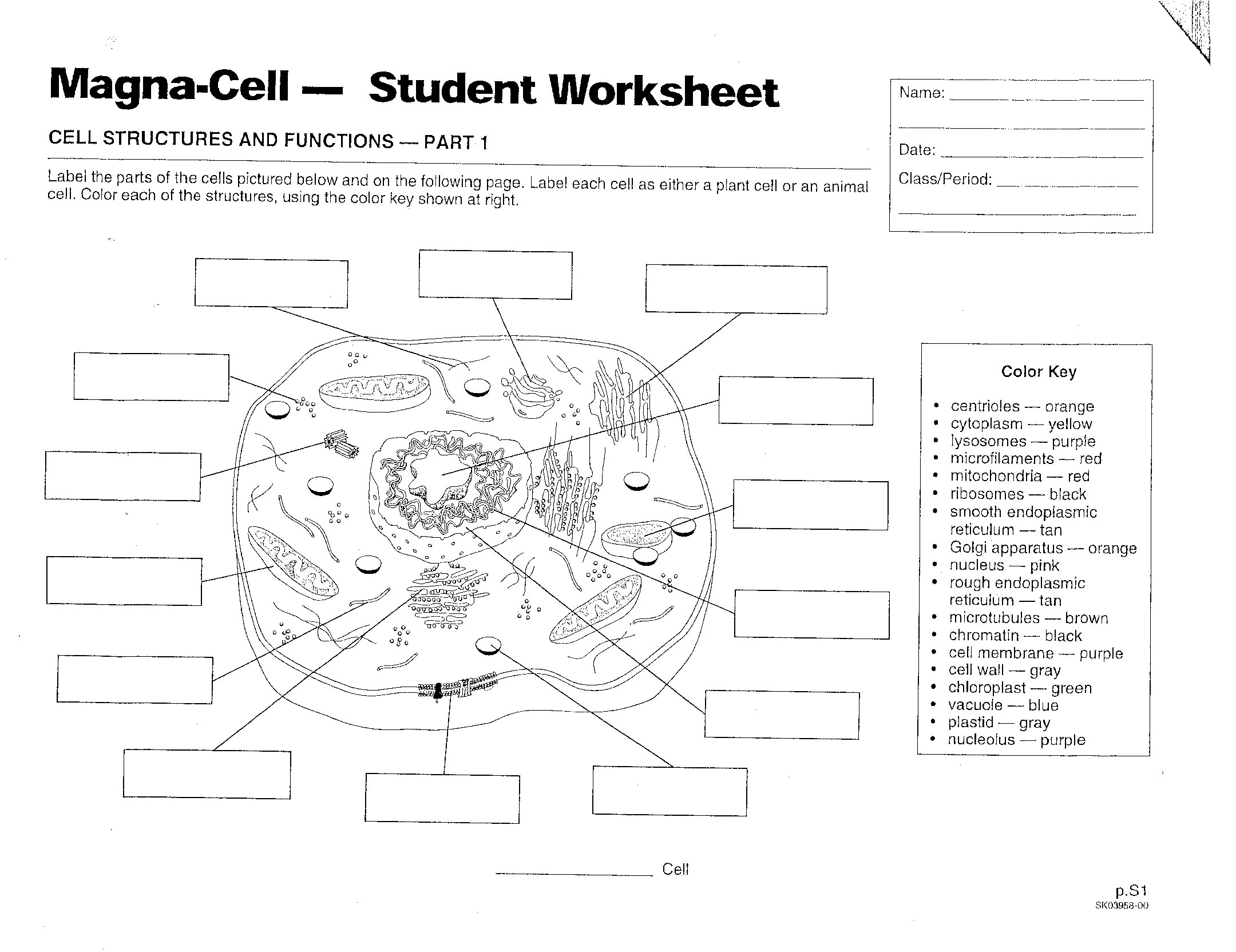Cell Label Worksheet