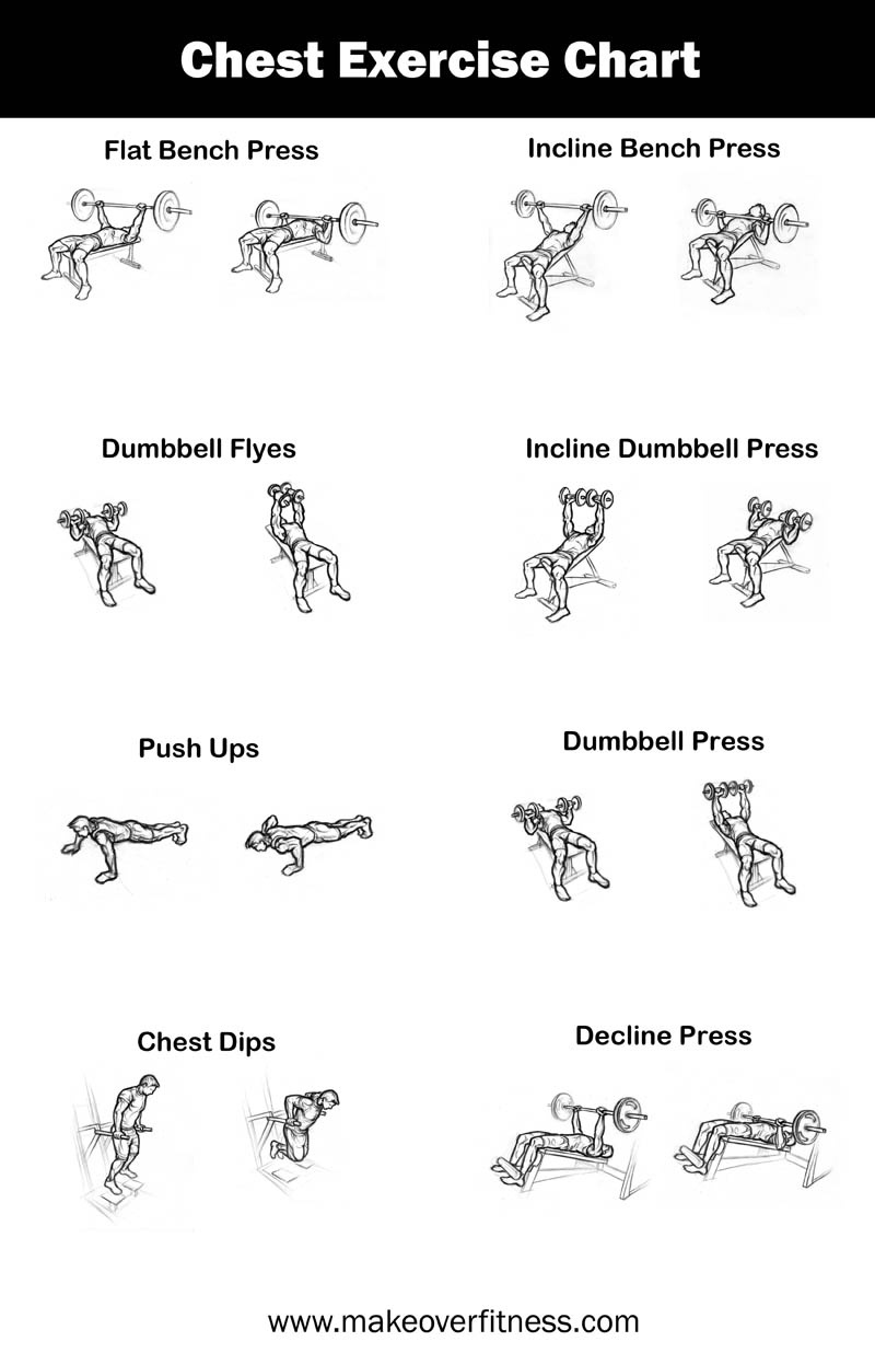 Gym Exercise Workout Chart