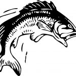 Clip Art Fish Bass Fishing Clip Art Free Printable Fish Stencils   Free Printable Fish Stencils