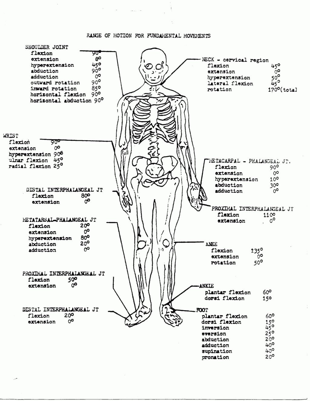 Free Printable Anatomy Pictures | Free Printable